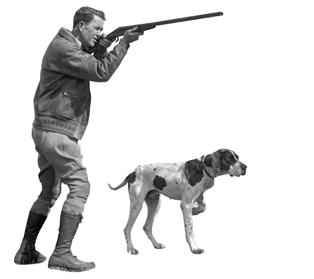 Upland bird hunter with Pointer dog, taking aim.