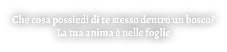 Che cosa possiedi di te stesso dentro un bosco? La tua anima  nelle foglie 