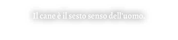 Il cane  il sesto senso dell’uomo.