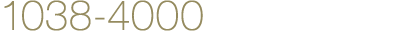 1038-4000