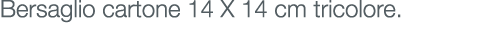 Bersaglio cartone 14 X 14 cm tricolore.
