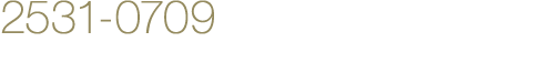 2531-0709