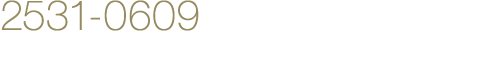 2531-0609 